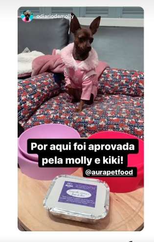 Foto autorizada de Molly com as marmitas St. Aura Pet Food